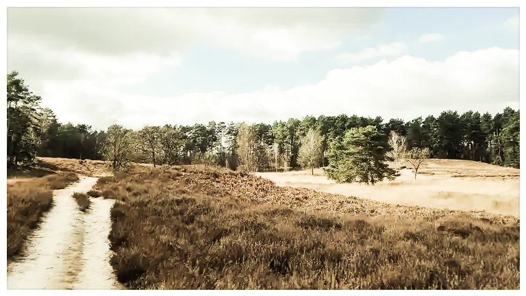 Die Fahle Heide bei Gifhorn - Winkel