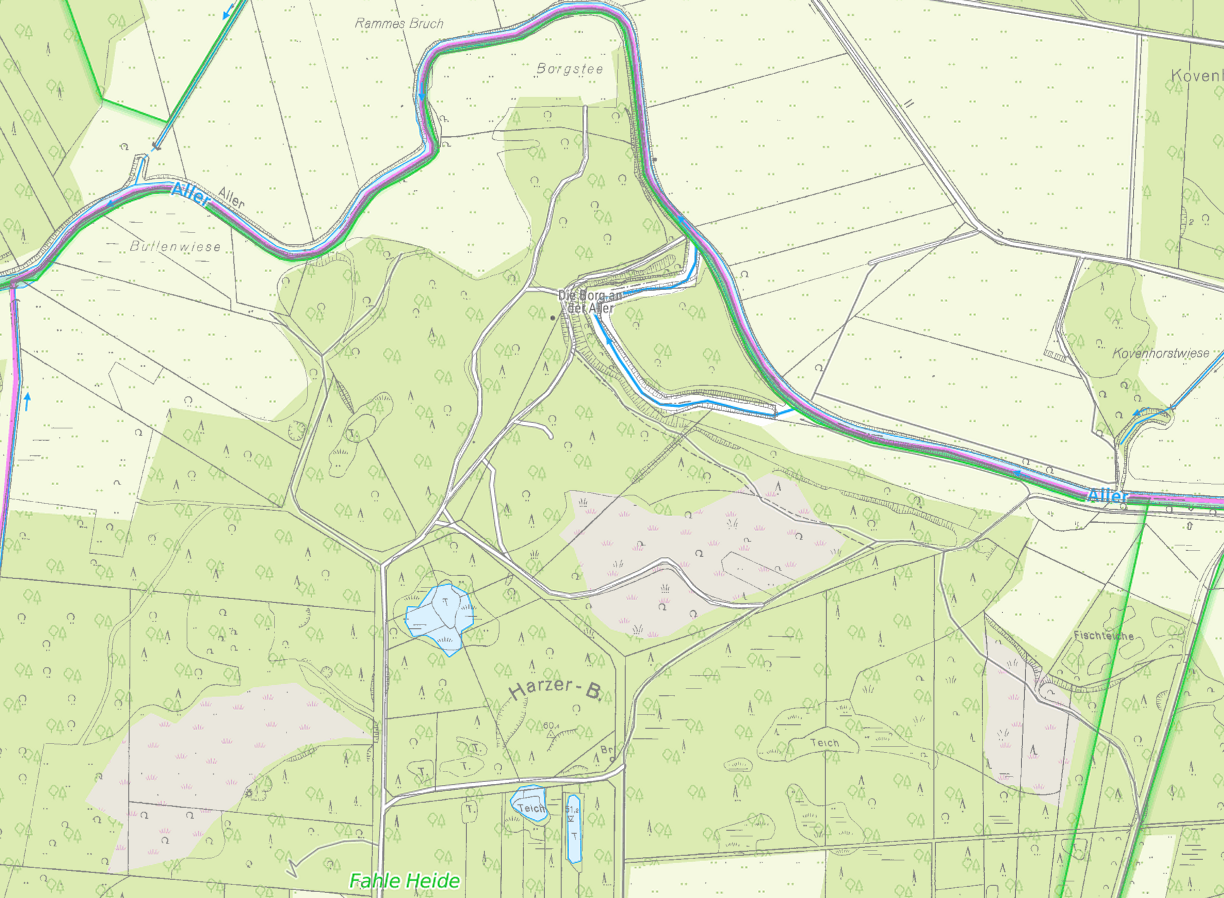 Topographische Detailkarte mit der Borg an der Aller